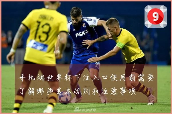 手机端世界杯下注入口使用前需要了解哪些基本规则和注意事项