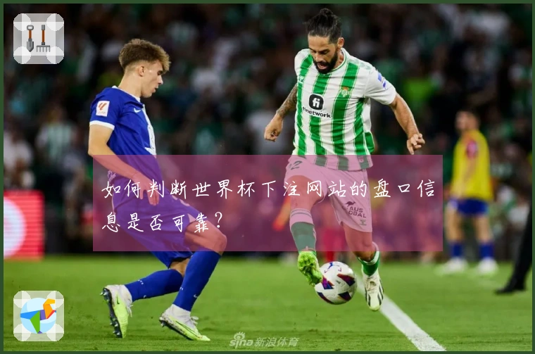 如何判断世界杯下注网站的盘口信息是否可靠？
