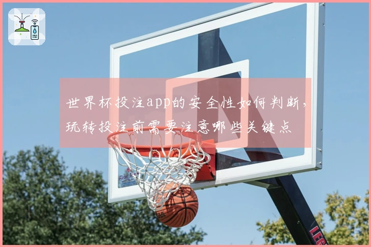世界杯投注app的安全性如何判断，玩转投注前需要注意哪些关键点