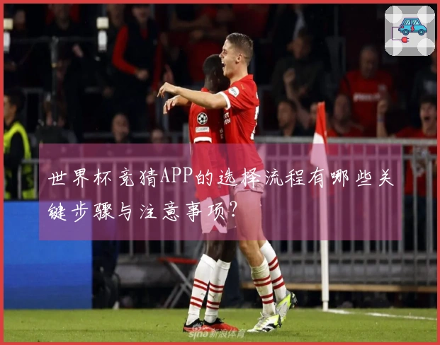 世界杯竞猜APP的选择流程有哪些关键步骤与注意事项？
