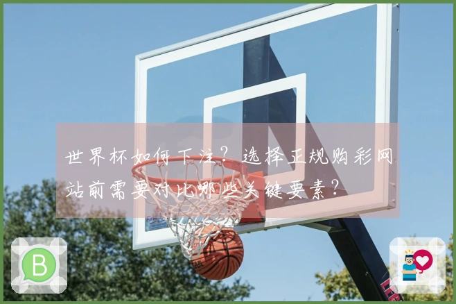 世界杯如何下注？选择正规购彩网站前需要对比哪些关键要素？