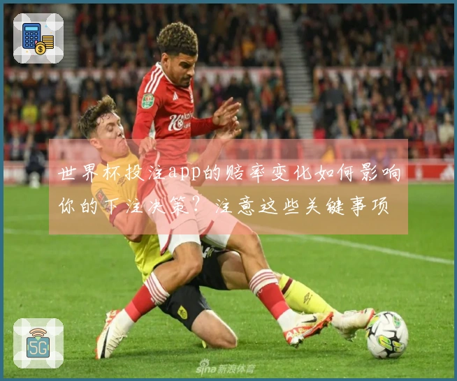 世界杯投注app的赔率变化如何影响你的下注决策？注意这些关键事项
