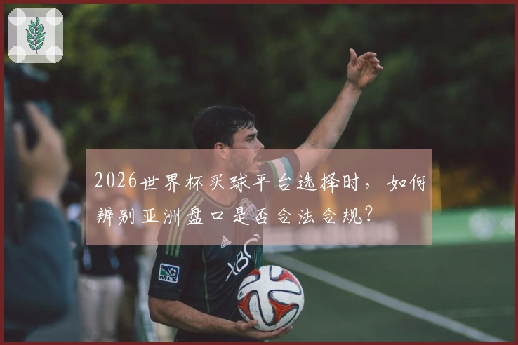 2026世界杯买球平台选择时，如何辨别亚洲盘口是否合法合规？