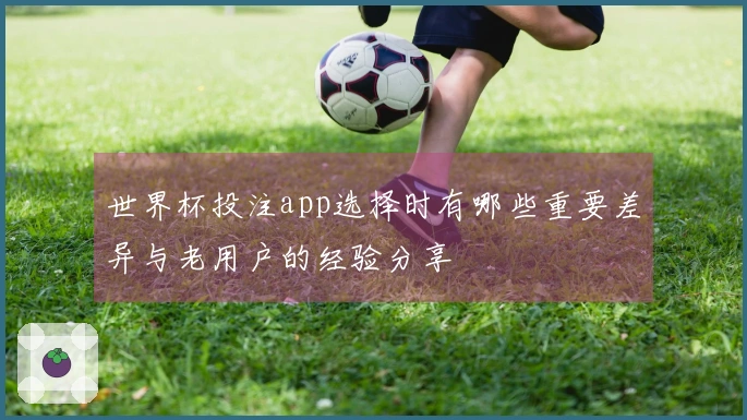 世界杯投注app选择时有哪些重要差异与老用户的经验分享