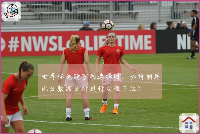 世界杯竞猜官网选择时，如何利用比分数据分析进行合理下注？