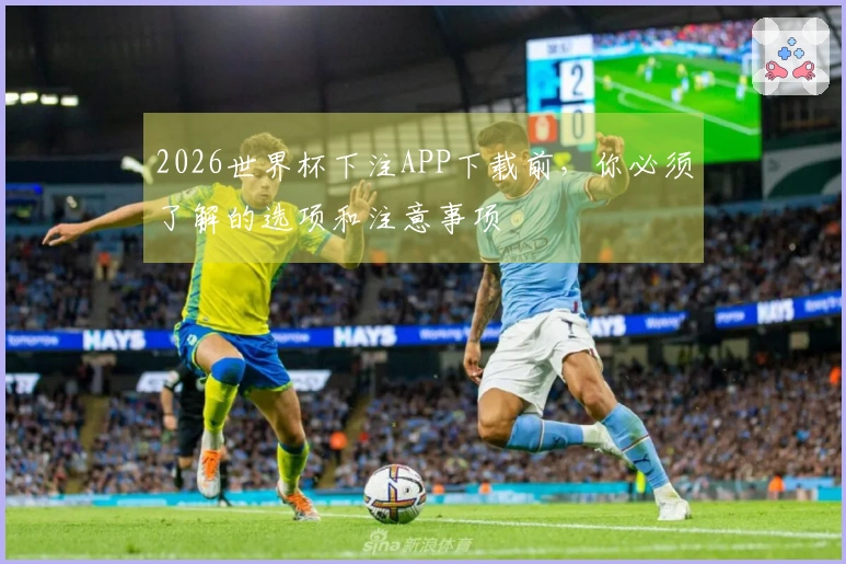 2026世界杯下注APP下载前，你必须了解的选项和注意事项