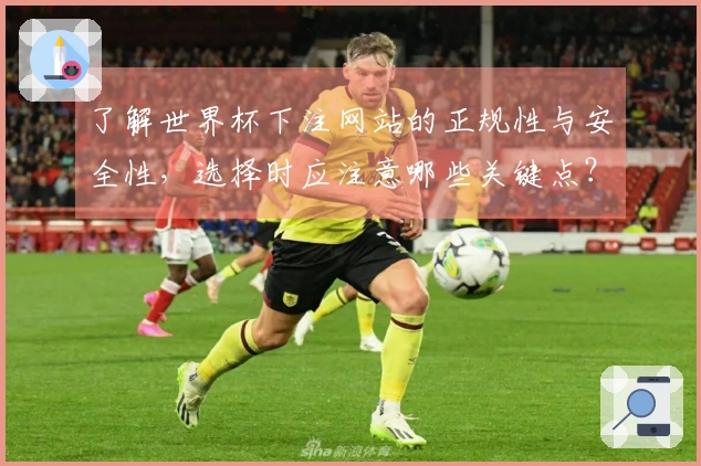 了解世界杯下注网站的正规性与安全性，选择时应注意哪些关键点？