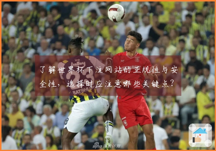 了解世界杯下注网站的正规性与安全性，选择时应注意哪些关键点？