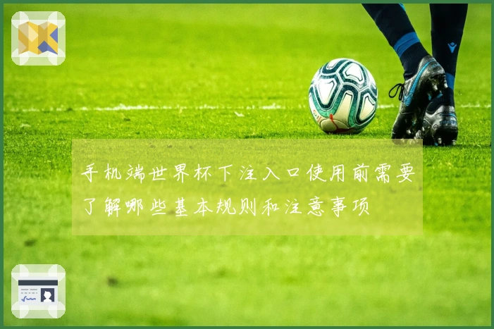 手机端世界杯下注入口使用前需要了解哪些基本规则和注意事项