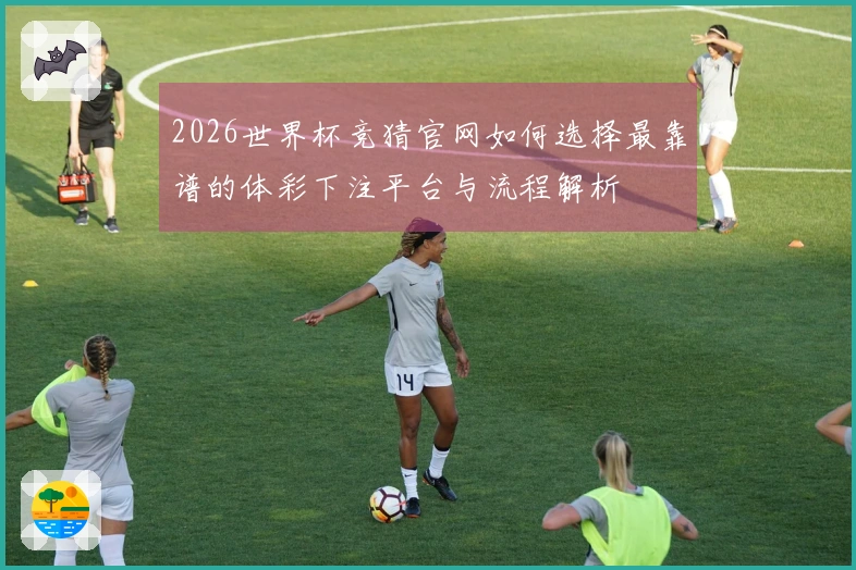 2026世界杯竞猜官网如何选择最靠谱的体彩下注平台与流程解析