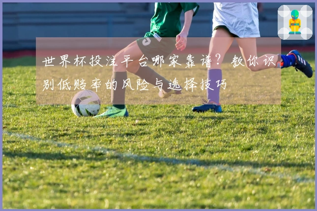 世界杯投注平台哪家靠谱？教你识别低赔率的风险与选择技巧