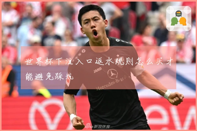 世界杯下注入口返水规则怎么买才能避免踩坑