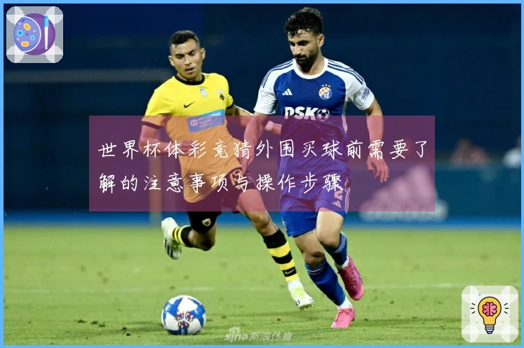 世界杯体彩竞猜外围买球前需要了解的注意事项与操作步骤