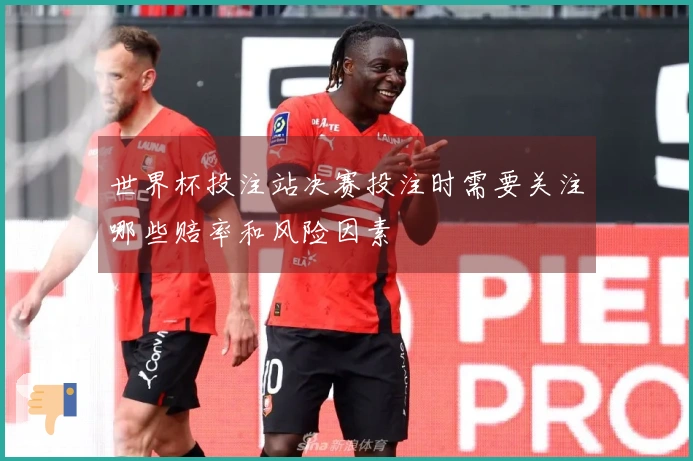 世界杯投注站决赛投注时需要关注哪些赔率和风险因素