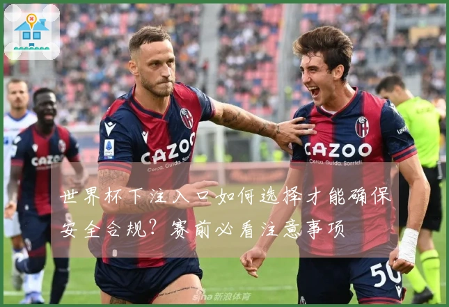 世界杯下注入口如何选择才能确保安全合规？赛前必看注意事项