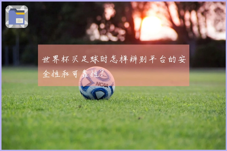 世界杯买足球时怎样辨别平台的安全性和可靠性？