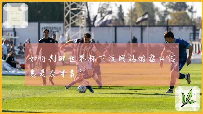 如何判断世界杯下注网站的盘口信息是否可靠？