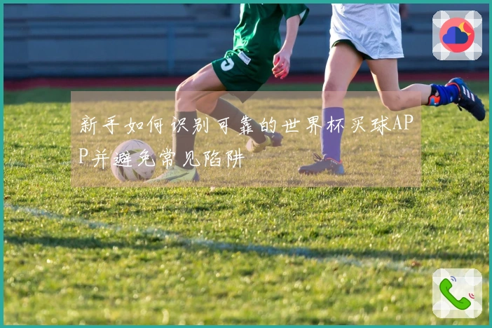 新手如何识别可靠的世界杯买球APP并避免常见陷阱