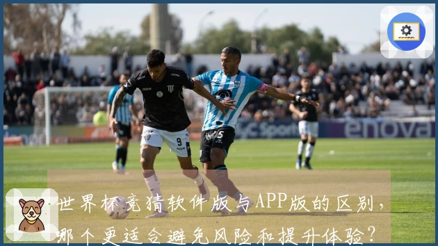 世界杯竞猜软件版与APP版的区别，哪个更适合避免风险和提升体验？