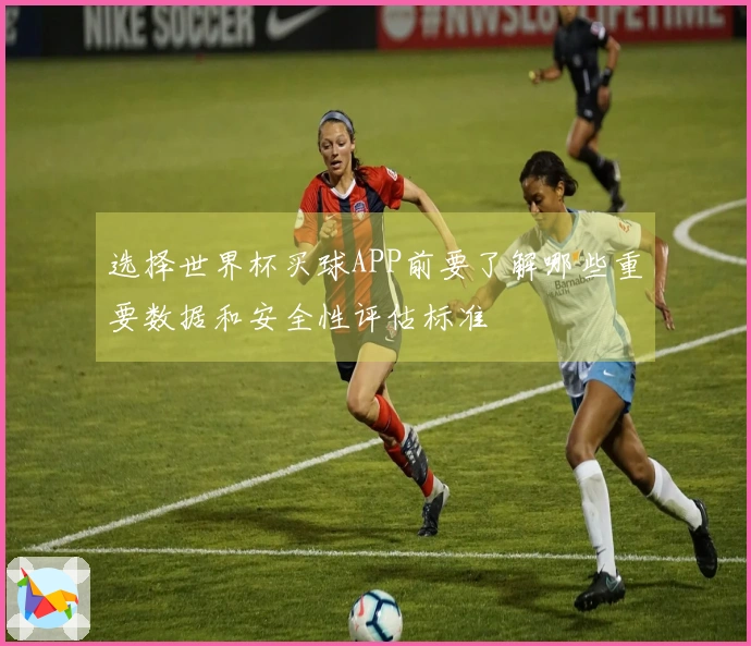 选择世界杯买球APP前要了解哪些重要数据和安全性评估标准
