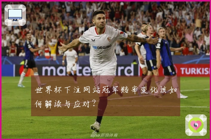 世界杯下注网站冠军赔率变化该如何解读与应对？