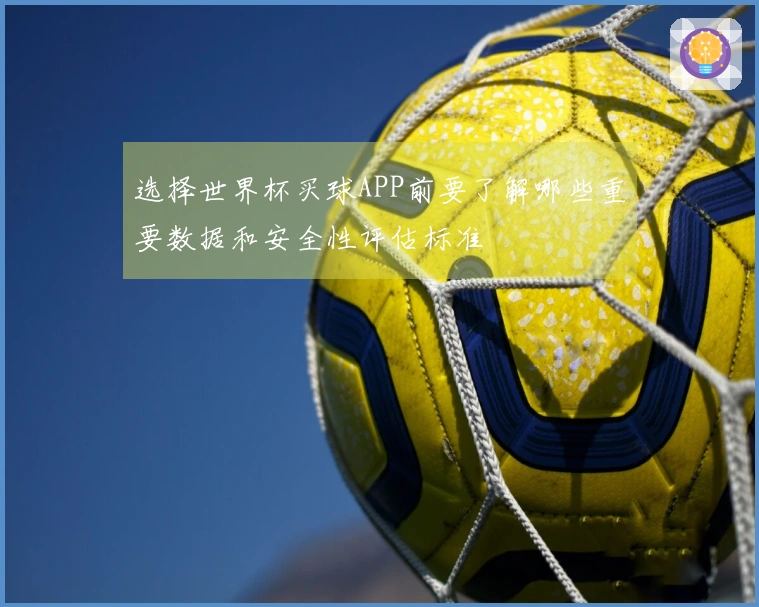 选择世界杯买球APP前要了解哪些重要数据和安全性评估标准